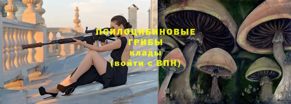 соль курить ск Михайловка