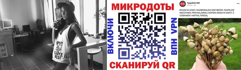 купить наркоту  Рязань  Галлюциногенные грибы мухоморы 